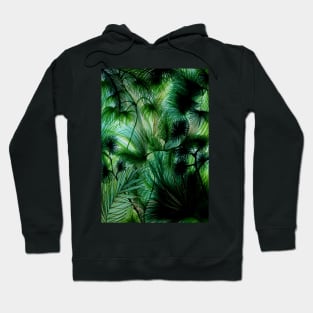 TROPICAL RAIN FOREST PALMS TREE Hoodie